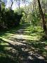 crowdy-national-park 010